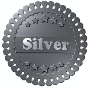 Silver Icon