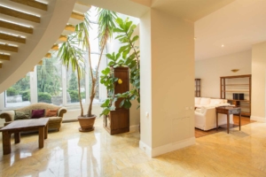 Living room with plants